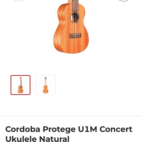 Brown Concert Ukulele - Picture 6 of 6